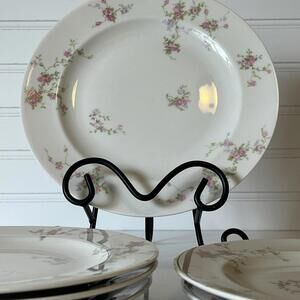 Theodore Haviland New York Pink Spray Salad, Dessert Plates 8” Made In America 6